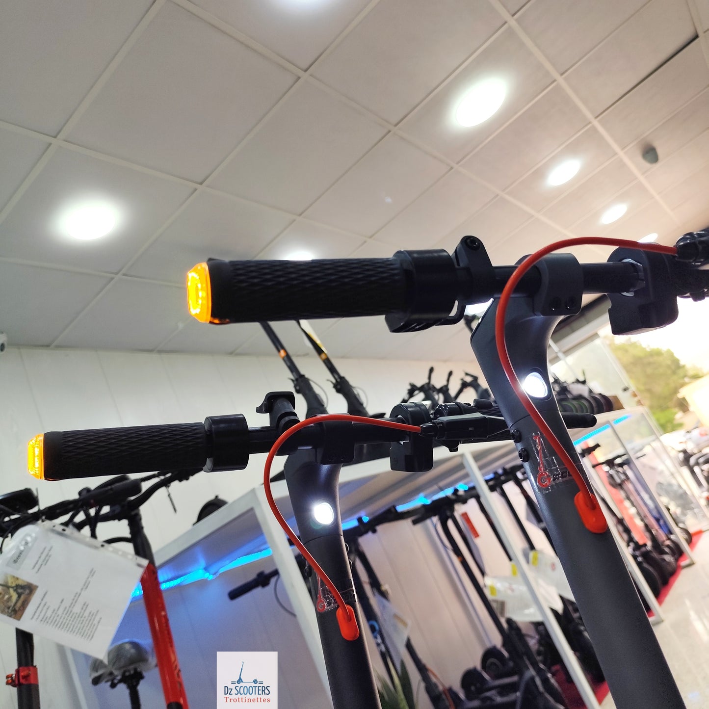 Trottinette Électrique G-SCOOTER S5 Pro