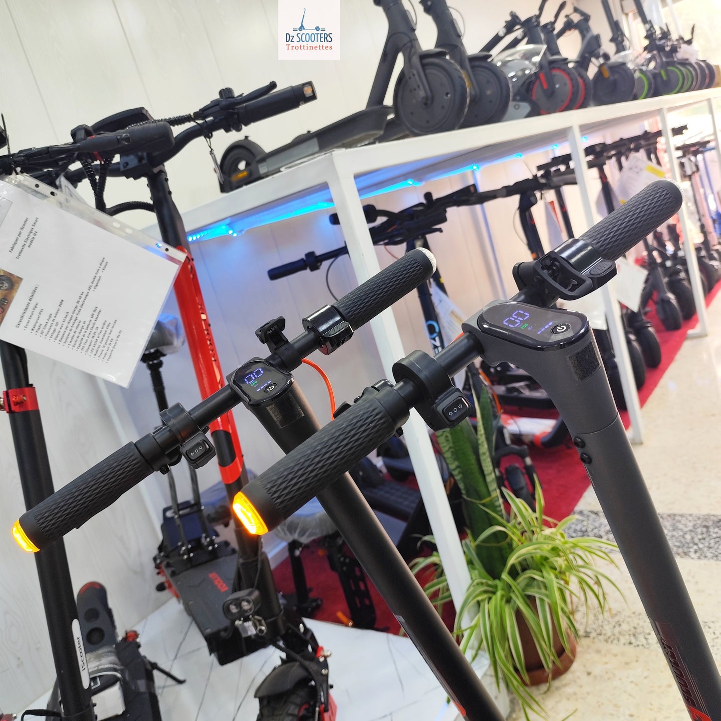 Trottinette Électrique G-SCOOTER S5 Pro