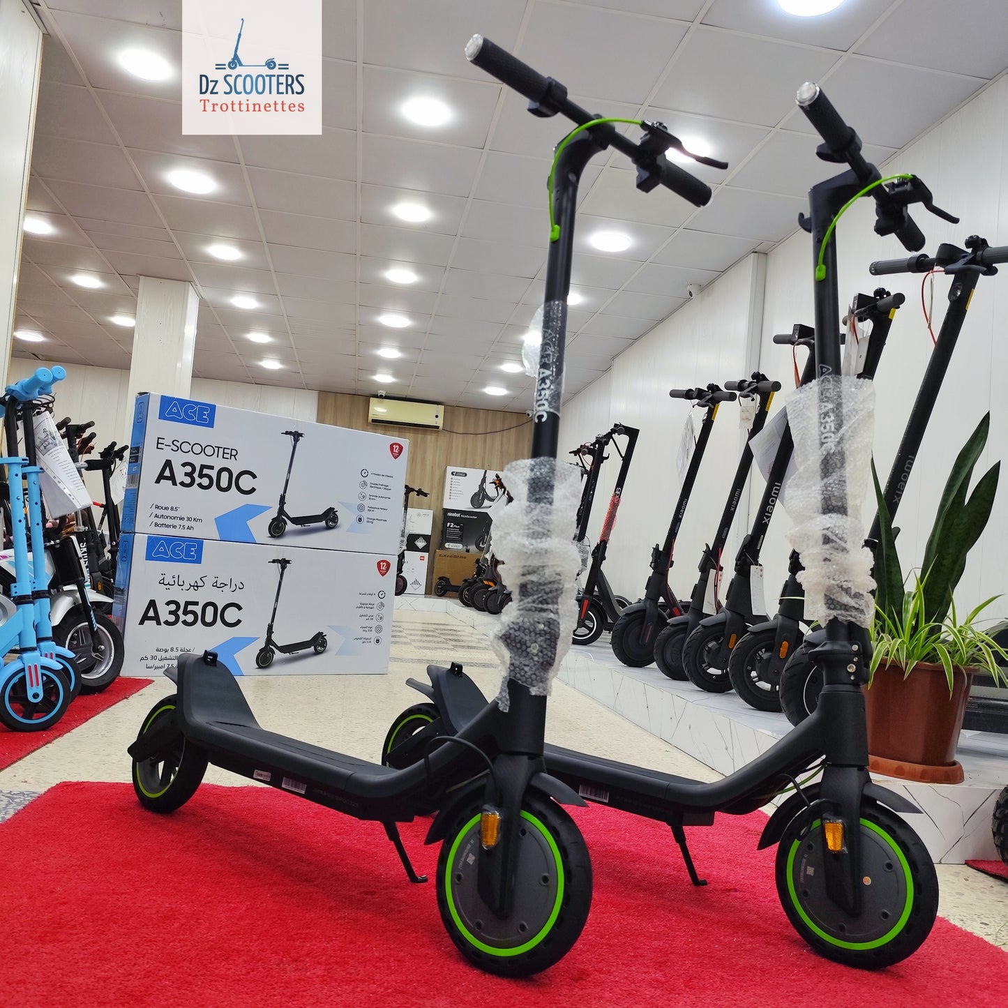 Trottinette Électrique Trotinet ACE A350C i Prix Choc!