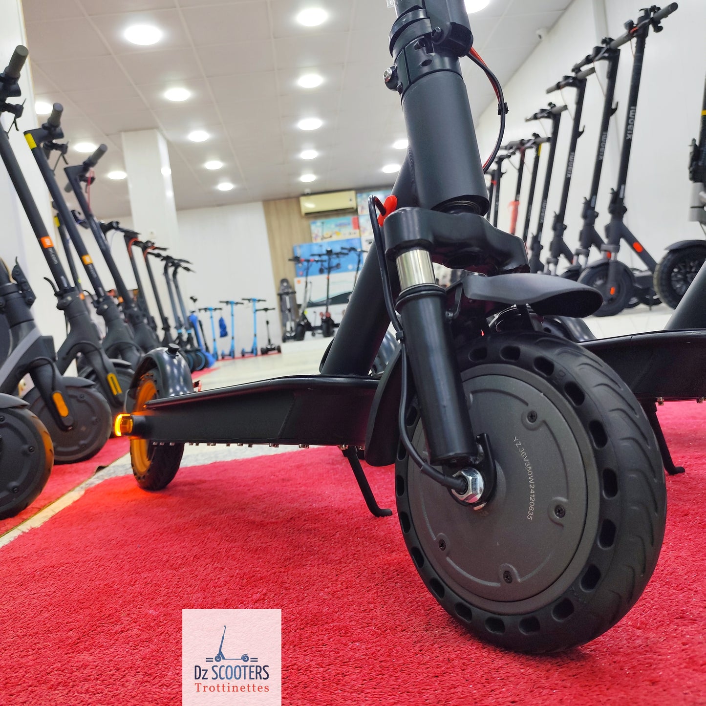 Trottinette Électrique QUASMAX QS BOOST 🚨 Prix CHOC !