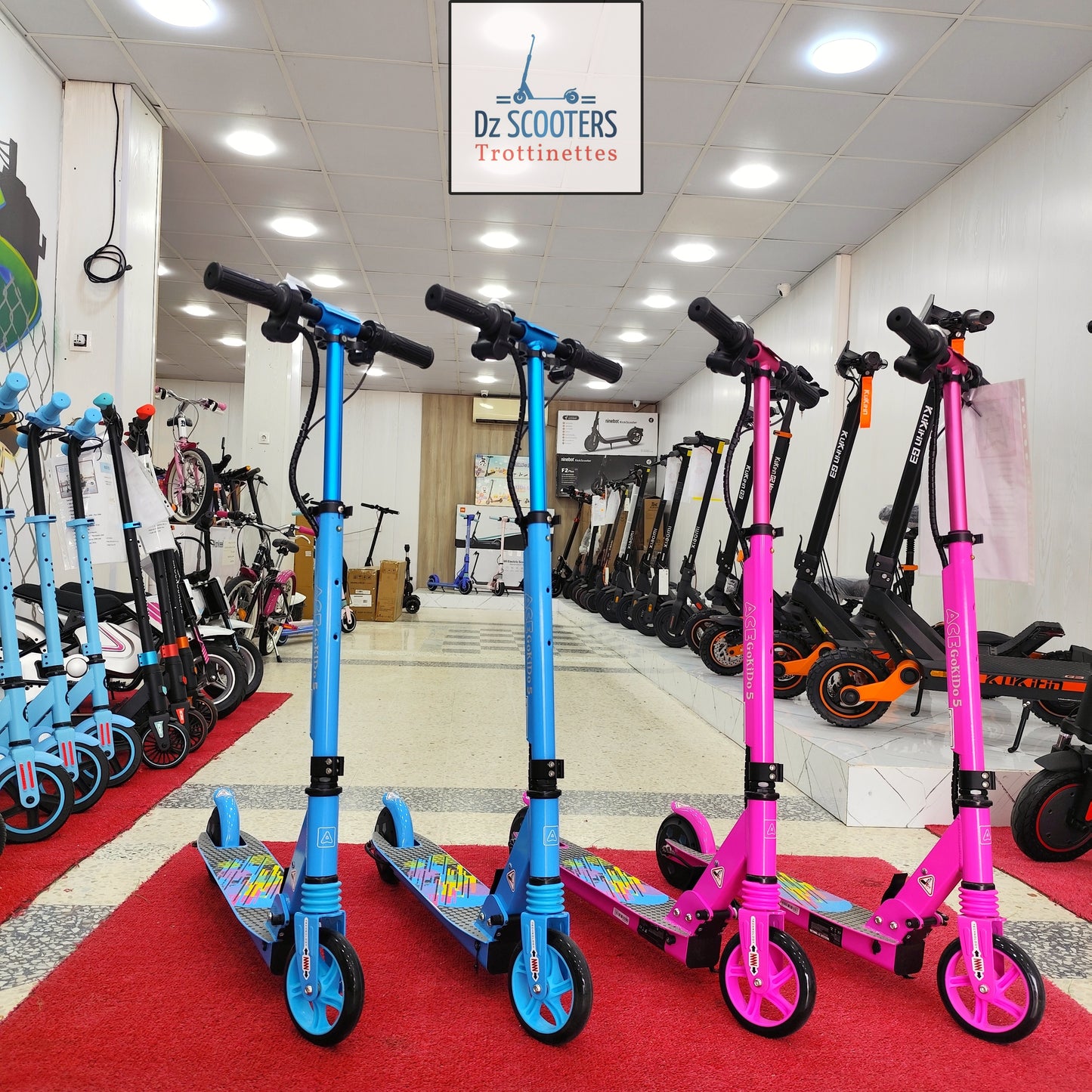 Trottinette Électrique ACE GOKIDO 5 🎁 Enfant