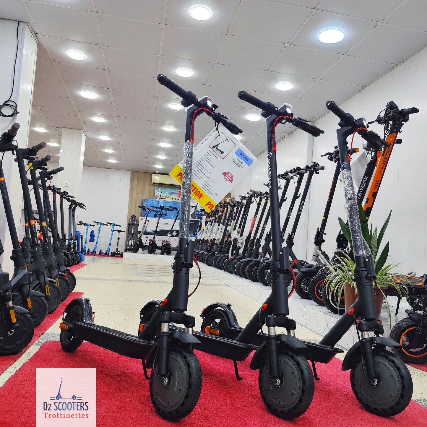 Trottinette Électrique QUASMAX QS BOOST 🚨 Prix CHOC !
